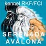 Аватар для Serenada Avalona