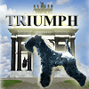 Аватар для Triumph