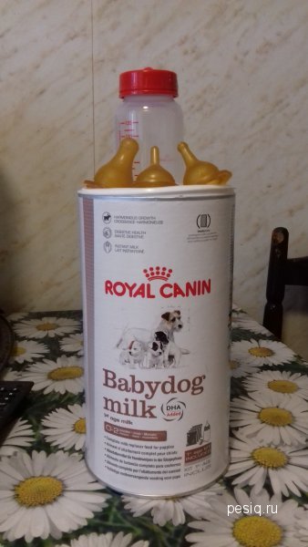 Сухой корм Монже для собак, купить в Москве сухой корм для