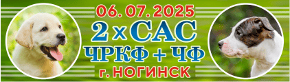 06.07.2025.   +   2  :  +    . 
