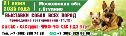  () 21.06.2025. 2   +  : ++ 1,2,3,9 .+