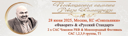 28  2025  - "  ", "" & " "