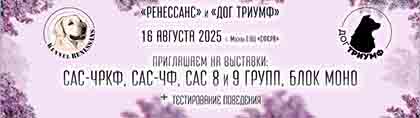16.08.25..""+"".  + + 8  9 .+ +