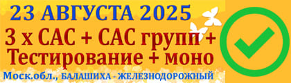 23 : 3(+)+1,2,3,9+1/2+-"-"+ ֫, 