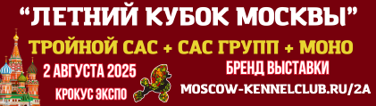     /  / FCI - 