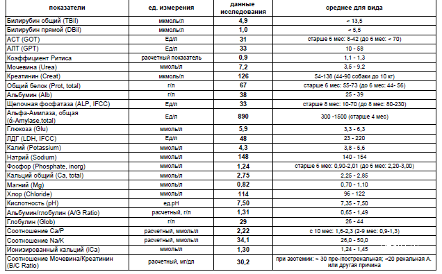 Какой показатель билирубина