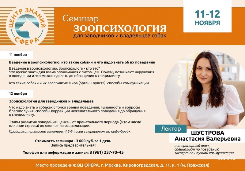 Фелинолог курсы. Курсы кинолога. Курсы заводчиков. Курсы заводчиков. Курсы заводчиков.
