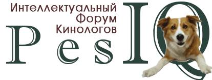 Выставка Собак В Москве Купить Щенка 2025